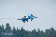 DTG_7691