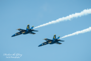 DTG_7884